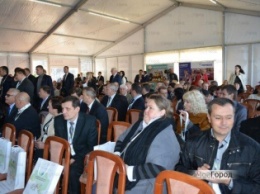 Николаевщину посетили иностранные инвесторы для налаживания сотрудничества