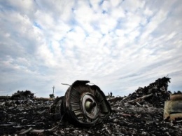СБУ: Нидерланды выйдут на завершающий этап расследования крушения Boeing MH17 в феврале 2016 г