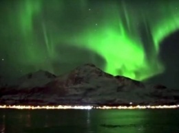 В Норвегии сняты уникальные кадры: киты и северное сияние