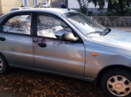 МВД: Задержан злоумышленник, напавший на жителя Запорожской обл. и угнавший его автомобиль