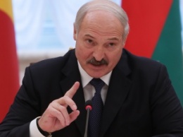 Лукашенко набирает 82,9% голосов на президентских выборах в Белоруссии, - экзит-пол