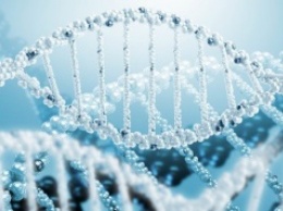 Ученые: Обнаружены новые "гены бессмертия"