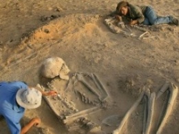 Немецкие ученые проведут анализ огромных скелетов из Эквадора