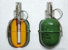 Запорожские милиционеры за сутки изъяли боеприпасы у трех человек