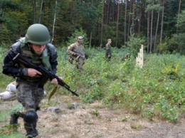 В зоне АТО тихо: ВСУ укрепляют свои позиции (видео)