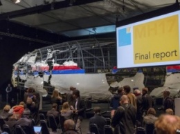 Российские власти раскритиковали доклад Нидерландов о причинах крушения рейса MH-17