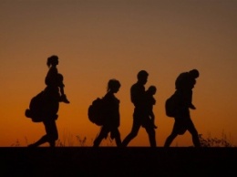 В Закарпатской обл. пограничники задержали троих нелегалов из Сирии и Палестины, которые пытались попасть в ЕС