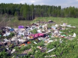В Закарпатье из-за тонн мусора может произойти экологическая катастрофа (ВИДЕО)