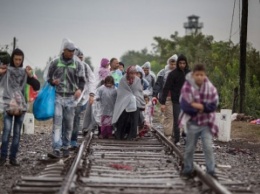 Норвегия будет обратно отправлять, прибывающих из России сирийских беженцев