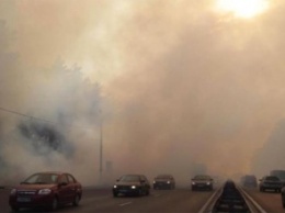 Киевлянам придется целый год дышать смогом?