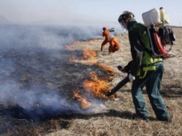 Под Киевом горит 15 гектаров торфяников