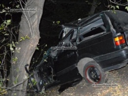 ДТП в Ровно: Volkswagen Passat врезался в дерево - погибла девушка. ФОТО