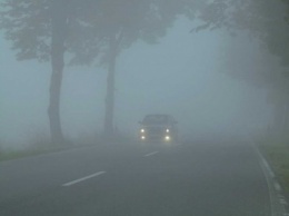 В Ростовской области из-за тумана в ДТП попали три десятка авто
