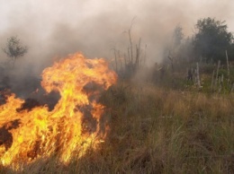 Несмотря на холодную осень на Николаевщине зафиксировано 90 пожаров в экосистемах только за эту неделю
