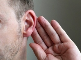 Ученые: Идентифицированы белки, важные для потери слуха