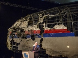 Нидерланды обвинили боевиков в крушении MH17 на основе не опубликованных в отчете карт