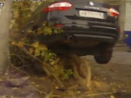 В Липецке легковушка Renault оказалась застрявшей в ветках дерева