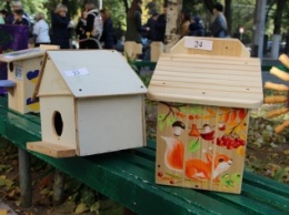 В Киеве у белок появятся декоративные домики