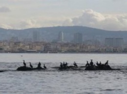 Турция: Остров Вордониси станет новой достопримечательностью Турции
