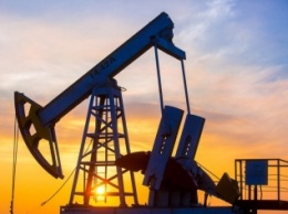 Полмиллиона тонн нефти могут найти в Самарской области