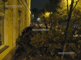 ДТП в Киеве: на Цитадельной ВАЗ-2101 врезался в дерево - пострадали двое. ФОТО