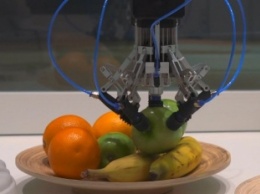 Ученые: Робот способен захватывать хрупкие объекты и отличать бананы от яблок