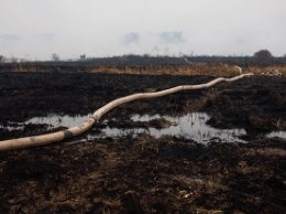 Торфяники под Киевом горят из-за умышленного поджога