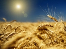 УКРОП предлагает признать землю сельскохозяйственного назначения национальным достоянием Украины