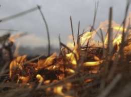 Заплати за сжигание листьев 20 тыс. гривен