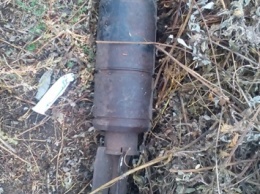 На Николаевщине, гуляя по пустырю с собакой, мужчина обнаружил танковый снаряд калибром 125 мм