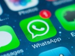 «Билайн» сделал трафик WhatsApp бесплатным