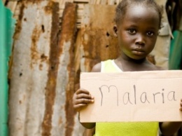 Лекарственно-устойчивая малярия способна заражать африканских комаров