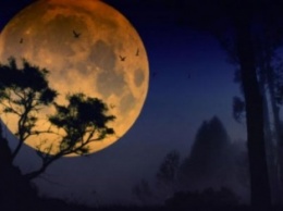 Сегодня ночью взойдет полная Луна: что не рекомендуется делать накануне