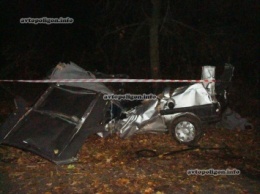 ДТП в Черкасской области: Peugeot Expert врезался в дерево - погибли трое. ФОТО