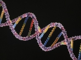 Челябинские ученые приблизились к разгадке тайны ДНК человека