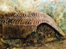 Греция: В Греции нашли неповрежденную могилу воина микенской эпохи