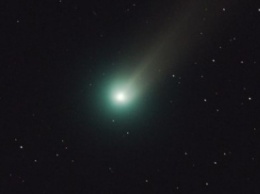 Астрономы обнаружили в хвосте кометы алкоголь