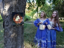 Известный фотограф устроил в парке Симферополя выставку: снимки прикололи вилками к деревьям (ФОТО)