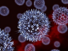 Ученые: Две трети населения планеты обладают вирусом герпеса