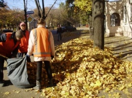 В Центральном районе Николаева убрали опавшие листья