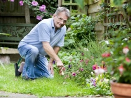 Ученые: Садоводство позитивно влияет на психическое здоровье