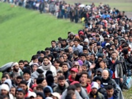 Меркель ожидает в 2015 году миллион беженцев в Германии