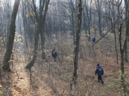 В Тернопольской области в лесу пропала 76-летняя женщина, - ГосЧС