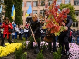 В расположении запорожской артбригады появится аллея деревьев