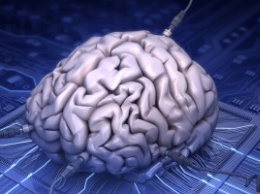 Ученые США вырастили искусственный мозг для изучения рака