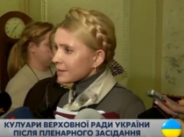 Голосование за пакет законопроектов по либерализации визового режима с ЕС сорвало их низкое качество, – Тимошенко