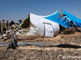 СМИ: Бомба могла быть установлена в багажном отсеке A321 перед взлетом