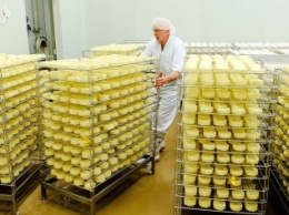 Индия планирует организовать поставку сыра в Россию