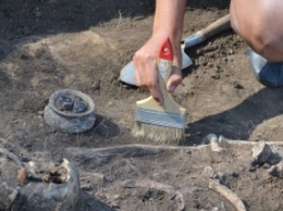 В Ленобласти найдены кости пенсионерки, пропавшей более двух лет назад