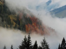 ГосЧС предупреждает о сильных порывах ветра и тумане в Украине